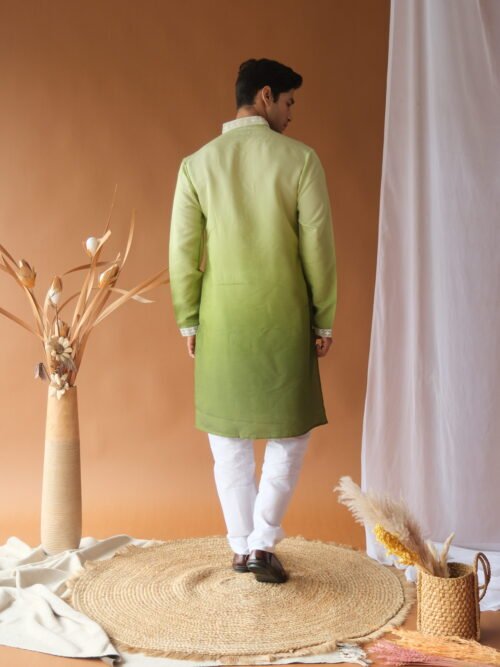 NX-1101 Green Multi 2