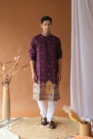 Men's Royal Purple Dori Daman Embroidered Kurta